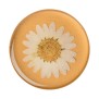 Suport pentru Telefon - Popsockets PopTop - Pressed Flower Daisy White