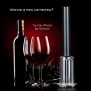 Pompa de Aer pentru Desfacut Sticla de Vin - Techsuit (CP01C) - Black