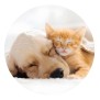 Suport pentru Telefon - Popsockets PopGrip - Basic Cat&Dog