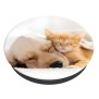 Suport pentru Telefon - Popsockets PopGrip - Basic Cat&Dog