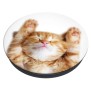 Suport pentru Telefon - Popsockets PopGrip - Basic Snoozy Cat