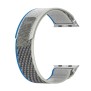 Curea pentru Apple Watch 1/2/3/4/5/6/7/8/9/SE/SE 2/Ultra/Ultra 2 (42/44/45/49mm) - Techsuit Watchband (W039) - Blue / Gray