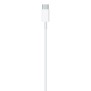 Cablu de Date Type-C la Lightning, 1m - Apple A2561 (MM0A3ZM/A) - White (Blister Packing)