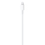 Cablu de Date Type-C la Lightning, 1m - Apple A2561 (MM0A3ZM/A) - White (Blister Packing)