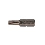 Bit Industrial profil Torx TR, Felo, C6.3, TTX25, 25mm