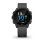 Gps runnning watch garmin forerunner 245 small diametru: 104 (26.3 mm) rezolutie afisaj: 208 x