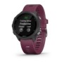 Gps runnning watch garmin forerunner 245 small diametru: 104 (26.3 mm) rezolutie afisaj: 208 x