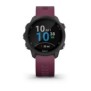 Gps runnning watch garmin forerunner 245 small diametru: 104 (26.3 mm) rezolutie afisaj: 208 x