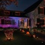 Ghirlanda inteligenta led rgb philips hue festavia 250 led-uri  24v 14w lumina alba si color