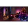 Ghirlanda inteligenta led rgb philips hue festavia 500 led-uri  24v 28w lumina alba si color