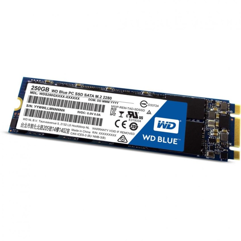 Ssd wd 250gb blue m.2 2280 sata rata transfer r/w 545mbs/525mbs