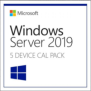 Licenta microsoft windows 2019 server engleza 5 cal device