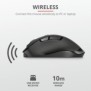 Mouse fara fir trust fyda rechargeable wireless comfort mouse  specifications general height of main product