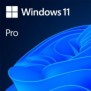 Licenta oem microsoft windows 11 pro 64 bit english