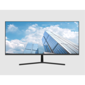 Monitor dahua lm22-b201s