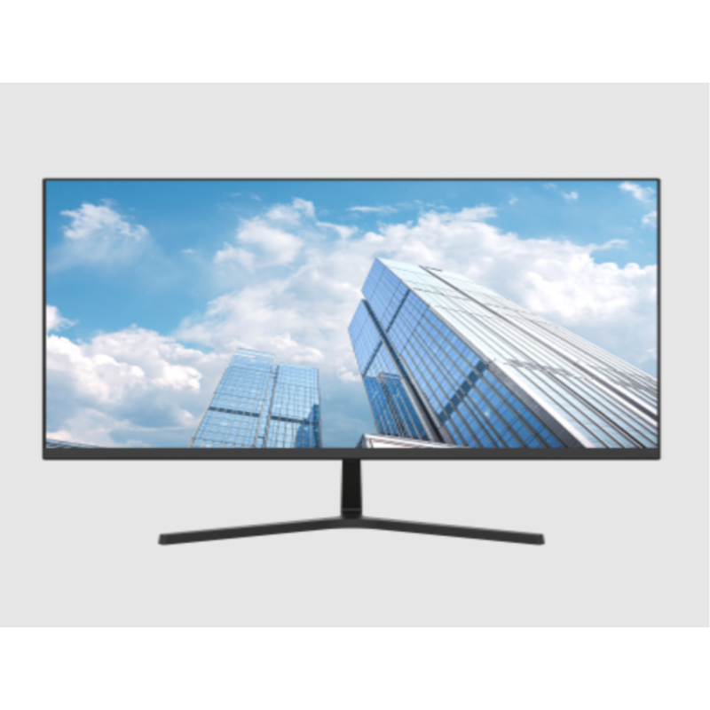 Monitor dahua lm22-b201s