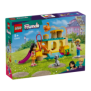 Teren de joaca pentru pisici lego 42612