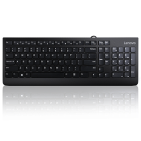 Lenovo 300 usb keyboard - us english tip: standard interfata tastatura: usb tehnologie: cu fir