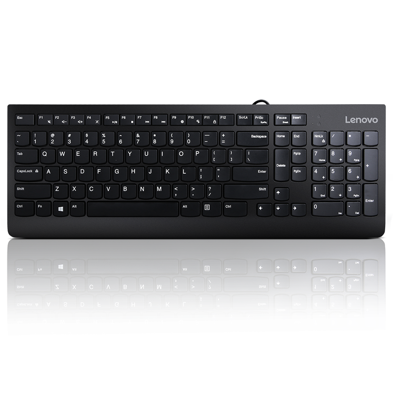 Lenovo 300 usb keyboard - us english tip: standard interfata tastatura: usb tehnologie: cu fir